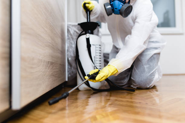 Best Cockroach Control Services  in Baldwin Park, CA