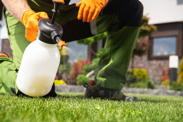 Best Pest Control Near Me  in Baldwin Park, CA