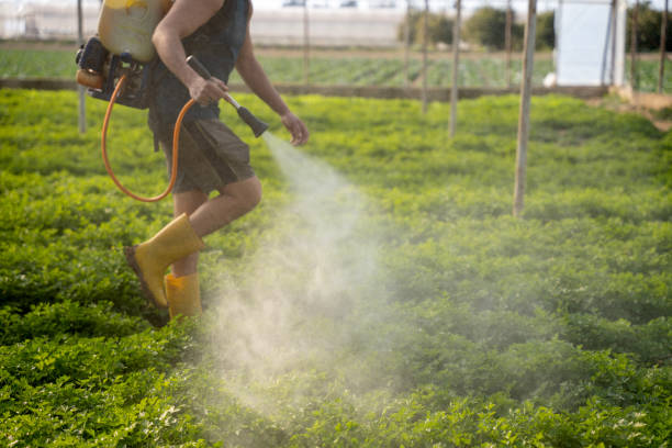 Best Best Pest Control Companies  in Baldwin Park, CA