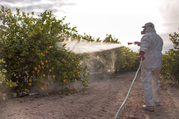 Best Exterminator Services  in Baldwin Park, CA