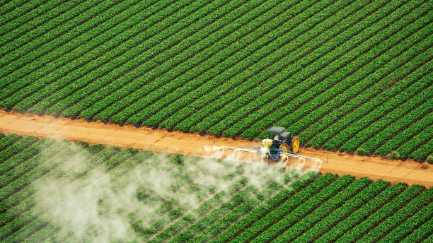 Best Commercial Pest Control Services  in Baldwin Park, CA