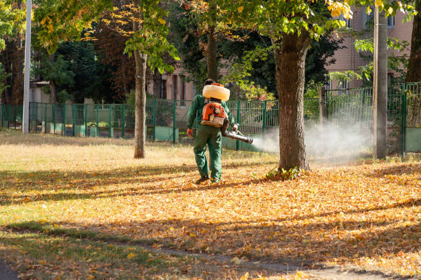 Best Pest Removal Services  in Baldwin Park, CA