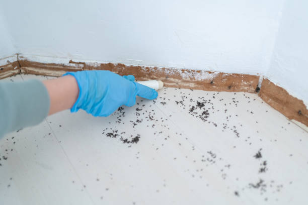 Best Pest Inspection Near Me  in Baldwin Park, CA