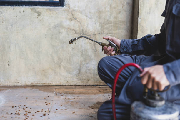 Best Best Pest Control Companies  in Baldwin Park, CA